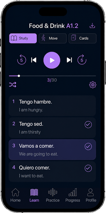 Learnest app audio player preview